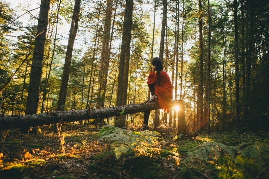 woman in the sunlight